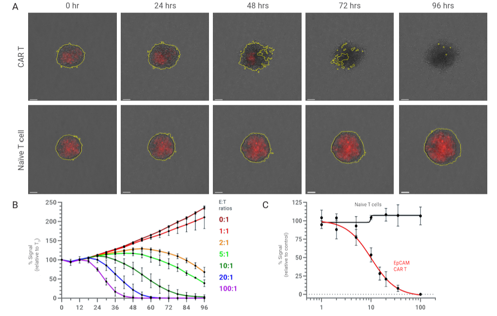 Cytation C10 Quantification Analysis