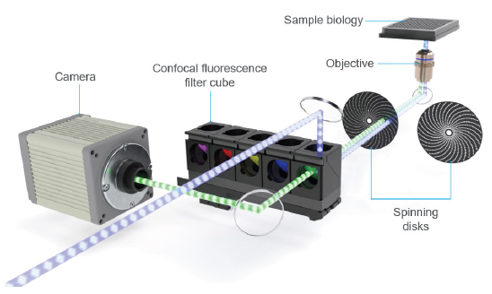 Cytation C10 Spinning Disk Confocal