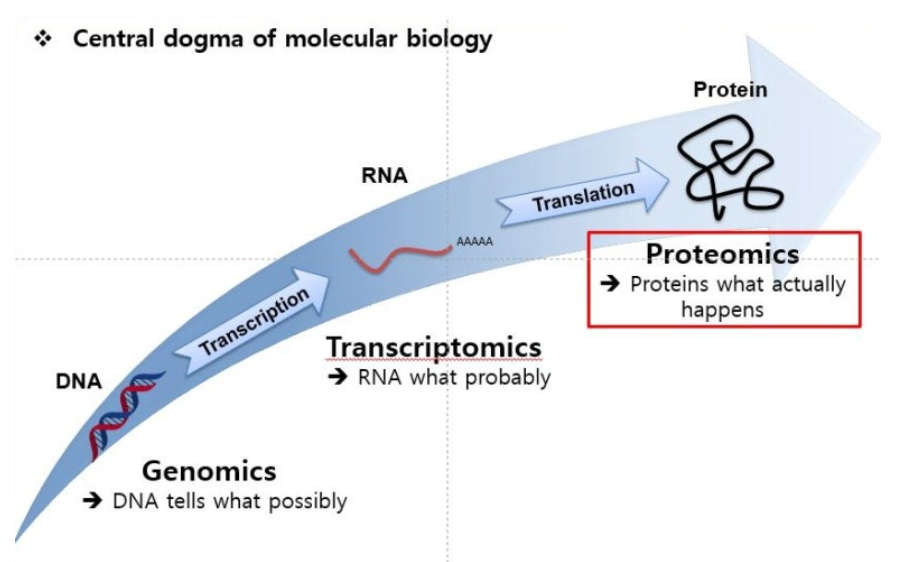 Cell and tissue DNA RNA workflow