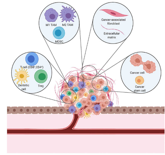 Immuno-oncology application 1