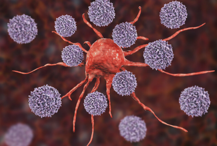 Immuno-oncology application 2