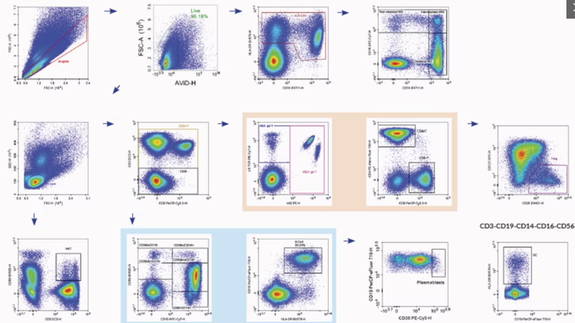 Flow cytometry plot and gating