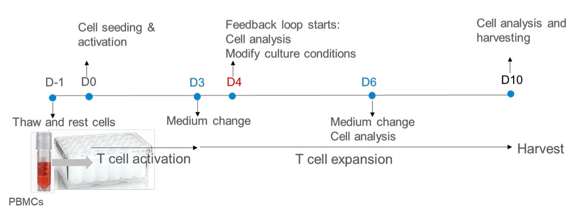 Multiparameter workflow 1